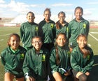 Thoreau Hawks Girls Varsity Cross Country Fall 16-17 team photo.