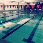 Loveland Red Wolves Boys Varsity Swimming Spring 15-16 team photo.