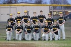 Mulberry/Pleasant View Yellow Jackets Boys Varsity Baseball Spring 16-17 team photo.