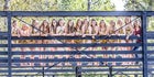 Buffalo Bison Girls Varsity Swimming Fall 19-20 team photo.