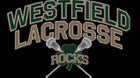 Westfield Shamrocks Boys Varsity Lacrosse Spring 25-26 team photo.