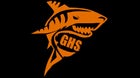 Globe Tigers Girls Varsity Swimming Fall 23-24 team photo.