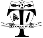 Tioga Indians Boys Varsity Soccer Winter 15-16 team photo.