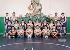 Rio Rancho Rams Boys Varsity Wrestling Winter 18-19 team photo.