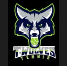 Timpanogos Timberwolves Girls Varsity Tennis Fall 20-21 team photo.