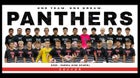 Parma Panthers Boys Varsity Soccer Fall 25-26 team photo.