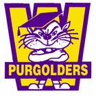 Washington Purgolders Boys Varsity Football Fall 12-13 team photo.