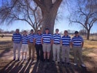 Dexter Demons Boys Varsity Golf Spring 16-17 team photo.