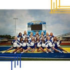 Valley View Blazers Co-ed Varsity Dance Team Winter 18-19 team photo.