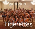 Los Lunas Tigers Co-ed Varsity Dance Team Winter 18-19 team photo.