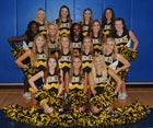Wynne Yellowjackets Co-ed Varsity Cheer Fall 16-17 team photo.