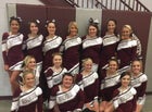 Riverside Rebels Co-ed Varsity Cheer Fall 16-17 team photo.