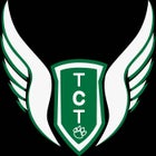 Triton Central Tigers Boys Varsity Track & Field Spring 15-16 team photo.