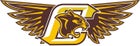Cibola Cougars Boys Varsity Track & Field Spring 15-16 team photo.