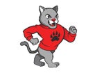 Kankakee Valley Kougars Boys Varsity Wrestling Winter 20-21 team photo.