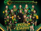 Pecos Panthers Co-ed Varsity Cheer Winter 23-24 team photo.