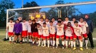 Arcadia Firebirds Boys Varsity Soccer Fall 18-19 team photo.