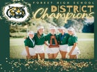Forest Wildcats Girls Varsity Golf Fall 24-25 team photo.