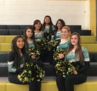 Thoreau Hawks Co-ed Varsity Dance Team Winter 17-18 team photo.