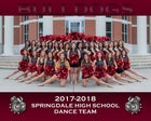 Springdale Bulldogs Co-ed Varsity Dance Team Winter 17-18 team photo.