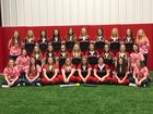 Rose Bud Ramblers Girls Varsity Softball Spring 17-18 team photo.