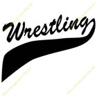 West Laurens Raiders Boys Varsity Wrestling Winter 15-16 team photo.