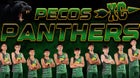 Pecos Panthers Boys Varsity Cross Country Fall 25-26 team photo.