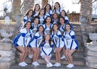 Dexter Demons Co-ed Varsity Cheer Winter 19-20 team photo.