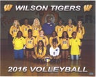 Wilson Tigers Girls Varsity Volleyball Fall 17-18 team photo.
