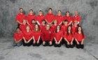 Dansville Mustangs Boys Varsity Golf Fall 19-20 team photo.