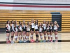 Elizabeth Cardinals Girls Varsity Volleyball Fall 25-26 team photo.