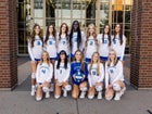 Danvers Falcons Girls Varsity Volleyball Fall 25-26 team photo.