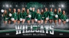 Novi Wildcats Girls Varsity Volleyball Fall 25-26 team photo.