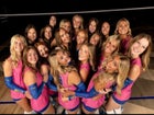 Valley View Blazers Girls Varsity Volleyball Fall 25-26 team photo.