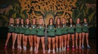 Ashwaubenon Jaguars Girls Varsity Volleyball Fall 25-26 team photo.