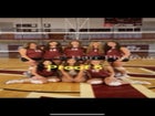 Breckinridge County Fighting Tigers Girls Varsity Volleyball Fall 25-26 team photo.
