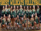 Forest Wildcats Girls Varsity Volleyball Fall 25-26 team photo.