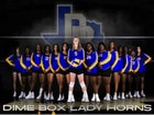 Dime Box Longhorns Girls Varsity Volleyball Fall 25-26 team photo.