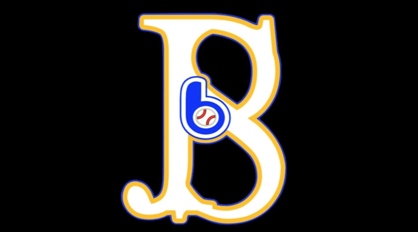 Bruni High School (TX) Varsity Baseball