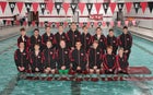 Dansville Mustangs Boys Varsity Swimming Fall 19-20 team photo.
