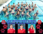 Las Cruces Bulldawgs Boys Varsity Swimming Winter 15-16 team photo.