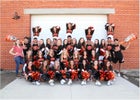 Rock Springs TIGERS Co-ed Varsity Cheer Fall 19-20 team photo.