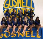 Gosnell Pirates Co-ed Varsity Dance Team Winter 19-20 team photo.