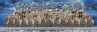 Green Canyon Wolves Girls Varsity Swimming Winter 21-22 team photo.