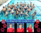 Las Cruces Bulldawgs Boys Varsity Swimming Winter 16-17 team photo.