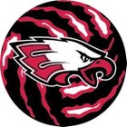 Eaglecrest Black Raptors Boys Varsity Volleyball Spring 18-19 team photo.