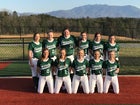 Carter Green Hornets Girls Varsity Softball Spring 16-17 team photo.