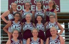 Western Yell County Wolverines Co-ed Varsity Cheer Fall 17-18 team photo.