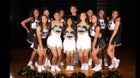 Williams Bulldogs Co-ed Varsity Cheer Spring 25-26 team photo.
