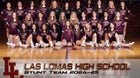 Las Lomas Knights Co-ed Varsity Cheer Spring 25-26 team photo.